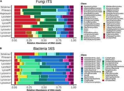 Evidence for Co-evolutionary History of Early Diverging Lycopodiaceae Plants With Fungi